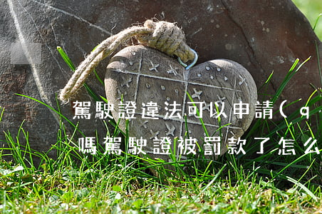 駕駛證違法可以申請(qǐng)罰款處理嗎(駕駛證被罰款了怎么處理)