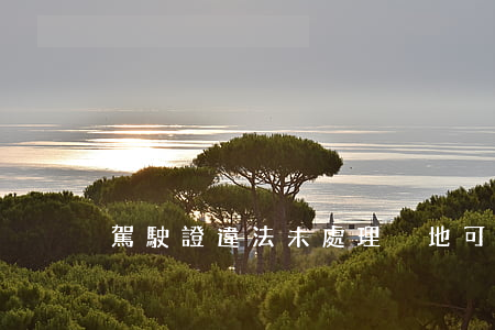 駕駛證違法未處理異地可以處理嗎
