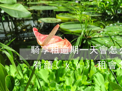 騎享租逾期一天會怎么樣-共享汽車超時沒有續(xù)租會怎么樣