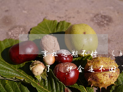 騎享租逾期不付會(huì)怎么樣(享騎倒閉了嗎?押金退不回了嗎)