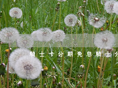 騎士卡分期免息(騎士分期什么要求)
