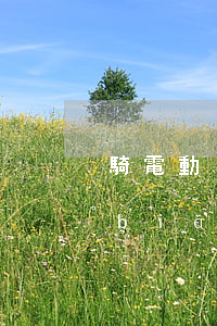 騎電動(dòng)車(chē)賠償標(biāo)準(zhǔn)50歲(騎電動(dòng)車(chē)撞了老人賠多少)