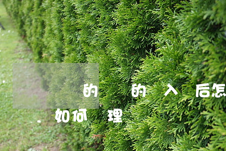 騙來的錢買的車入獄后怎么處理(車被詐騙了如何處理)