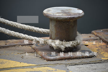 騙去辦理營(yíng)業(yè)執(zhí)照被判刑幾年