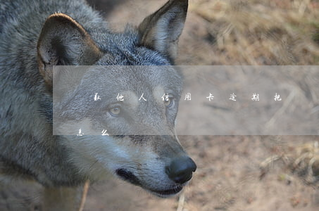 騙取他人信用卡逾期(把別人信用卡弄逾期了怎么辦)