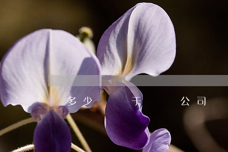 騙多少錢屬于詐騙(公司騙多少錢屬于詐騙)