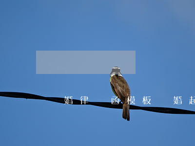 騙婚律師函模板(騙婚起訴狀模板)