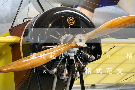 騙婚起訴書(shū)格式范文(騙婚起訴書(shū)格式范文)
