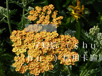 騙子短信說(shuō)信用卡逾期(說(shuō)信用卡逾期詐騙)
