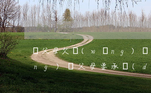 騙父母欠網(wǎng)貸(子女欠網(wǎng)貸,父母要承擔(dān)責(zé)任嗎)