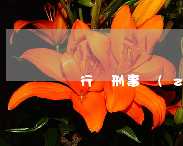 騙稅行為刑事責(zé)任最高判幾年