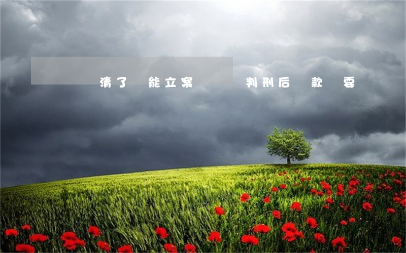 騙貸還清了還能立案嗎(騙貸判刑后貸款還要還嗎)