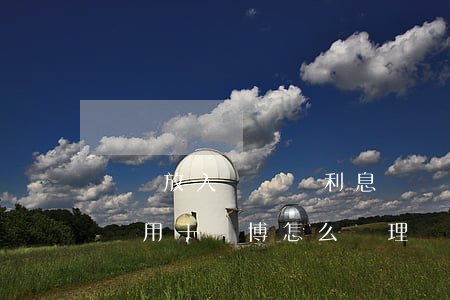 騙錢放入賭場賺利息詐騙罪實際案例(詐騙的錢用于賭博怎么處理)