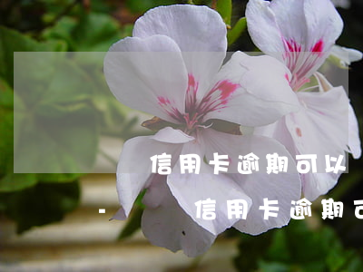 騰訊信用卡逾期可以協(xié)商還款嗎-騰訊信用卡逾期可以協(xié)商還款嗎