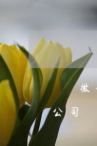 騰訊微信支付的投訴電話（騰訊起訴微信支付公司）