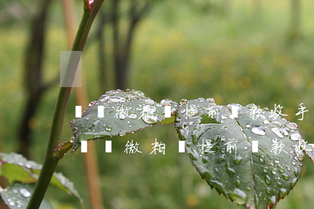 騰訊微粒貸提前還款收手續(xù)費嗎-騰訊微粒貸提前還款收手續(xù)費嗎是真的嗎