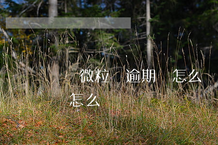 騰訊微粒貸逾期會怎么樣(微粒貸逾期一年了會怎么樣)