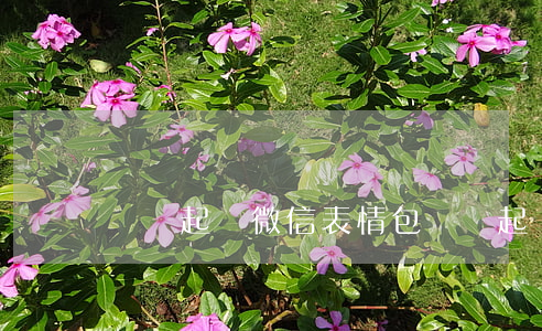 騰訊起訴微信表情包(騰訊起訴山寨微信)