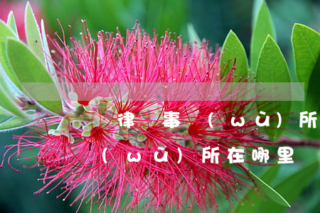 騰銘律師事務(wù)所在哪里(永騰律師事務(wù)所在哪里)