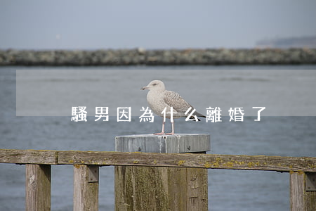 騷男因為什么離婚了