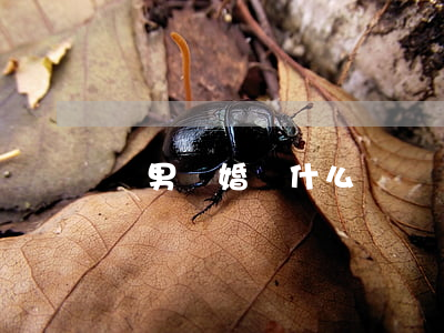 騷男離婚說什么話