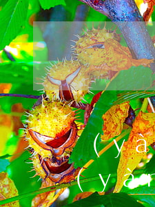 驗(yàn)車注意事項(xiàng)(驗(yàn)車注意事項(xiàng)新手必讀)