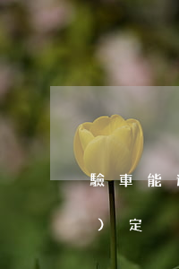驗車能逾期嗎(驗車逾期怎么處罰規(guī)定)