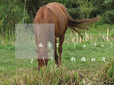 驚！女子7萬(wàn)元將親兒子賣給醫(yī)療科技公司
