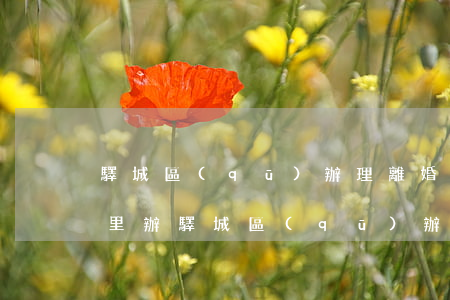 驛城區(qū)辦理離婚手續(xù)在哪里辦(驛城區(qū)辦理離婚手續(xù)在哪里辦)