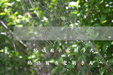 驛站信用卡逾期多久會(huì)被判刑(驛站信用卡逾期多久會(huì)被判刑呢)