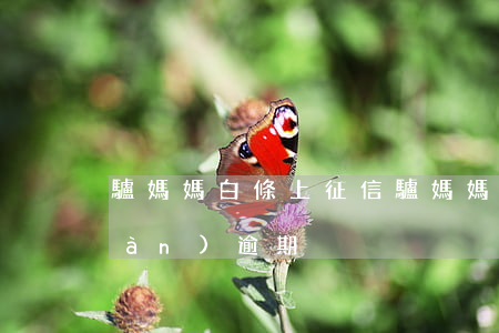 驢媽媽白條上征信（驢媽媽的白條20萬(wàn)逾期）