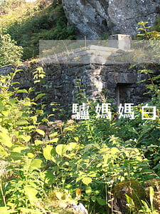 驢媽媽白條逾期1年-白條逾期5年了