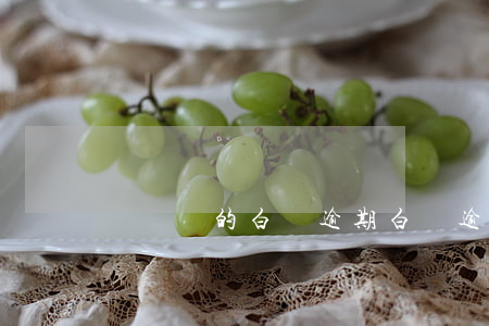 驢媽媽的白條逾期(白條逾期收費)
