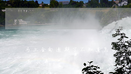 马上全面逾期了不知道怎么处理（全面逾期了怎么弄）