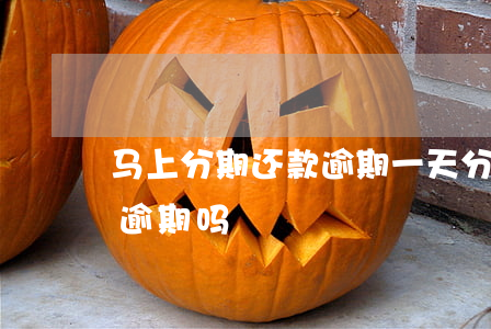 马上分期还款逾期一天(分期还款晚了一天算逾期吗)