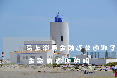 马上消费金融还款逾期了怎么办-马上消费金融有逾期的吗