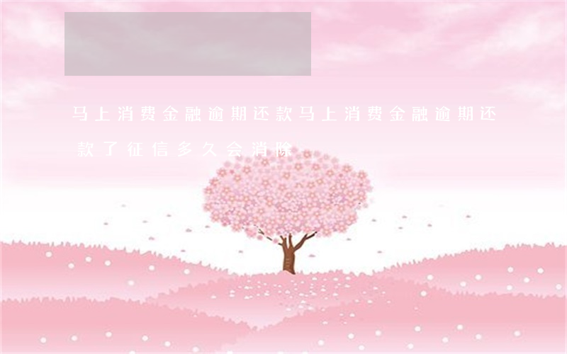 马上消费金融逾期还款(马上消费金融逾期还款了征信多久会消除)