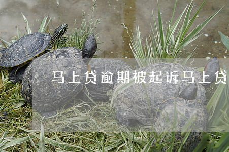 马上贷逾期被起诉(马上贷逾期被起诉)