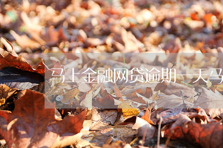 马上金融网贷逾期一天(马上金融逾期一个月)