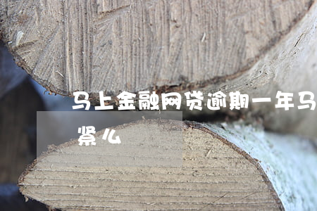 马上金融网贷逾期一年(马上金融逾期1天要紧么)