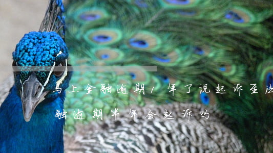 马上金融逾期1年了,说起诉至法院了（马上金融逾期半年会起诉吗）