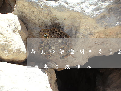 马上金融逾期4年了怎么还款(马上金融逾期四年了,该咋办?)