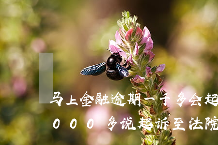 马上金融逾期一千多会起诉(马上金融逾期2000多说起诉至法院了)