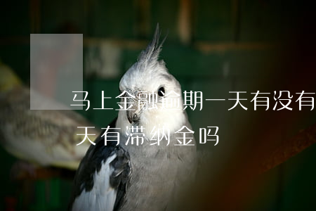 马上金融逾期一天有没有事（马上金融逾期两天有滞纳金吗）