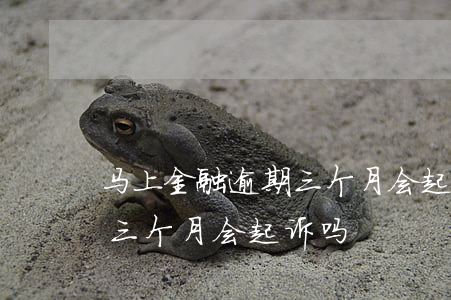 马上金融逾期三个月会起诉吗(马上金融逾期三个月会起诉吗)