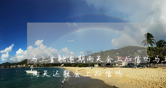 马上金融逾期两天会上征信吗(马上金融逾期两天还款会上征信吗)