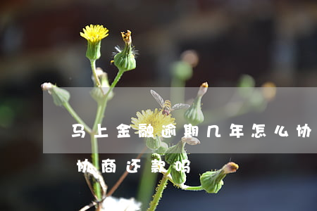 马上金融逾期几年怎么协商还款(马上金融能协商还款吗)