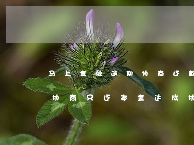 马上金融逾期协商还款通道(马上金融逾期后协商只还本金,达成协议,协议该怎样做)
