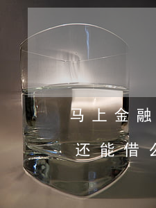 马上金融逾期只能还款(马上金融逾期了还完还能借么)