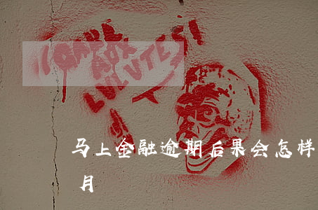 马上金融逾期后果会怎样（马上金融逾期5个月）